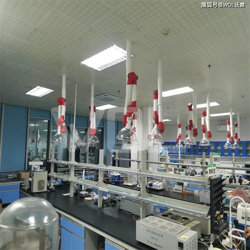 农产品检测实验室完工效果图展示与技术服务介绍